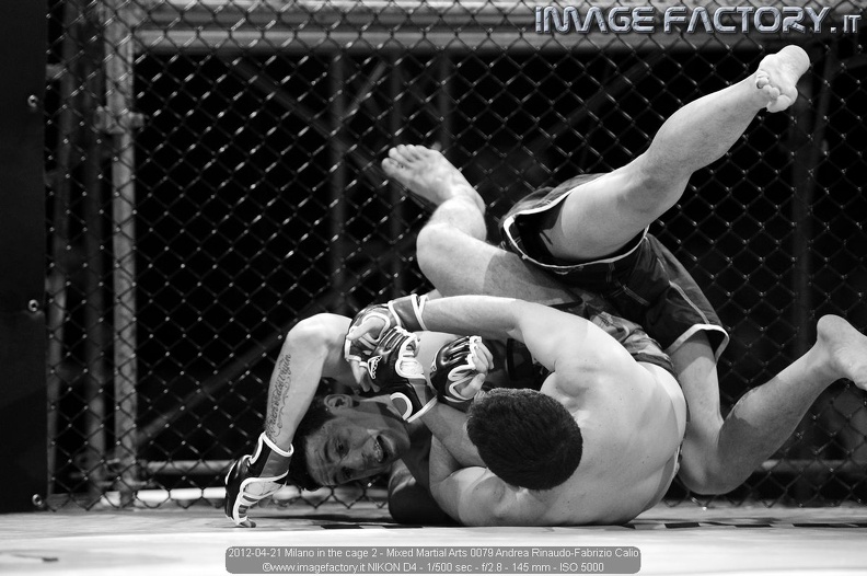 2012-04-21 Milano in the cage 2 - Mixed Martial Arts 0079 Andrea Rinaudo-Fabrizio Calio.jpg